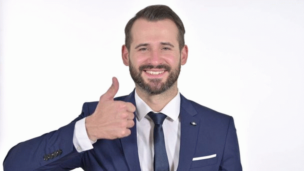 17 نکته برای تبدیل غذای طوطی از دانه به پلت